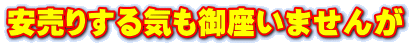 安売りする気も御座いませんが