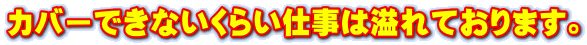 カバーできないくらい仕事は溢れております。